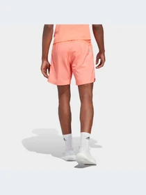 Шорты Adidas модель IC7638 Фото