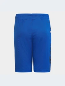 Шорти Adidas модель HM9202 Фото