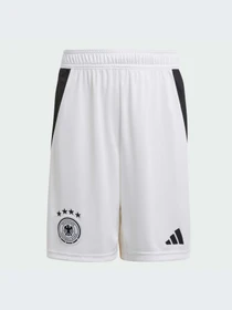 Шорты Adidas модель IP8138 Фото