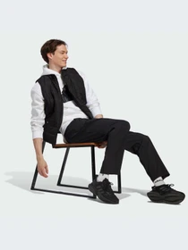 Брюки Adidas модель IC9415 Фото