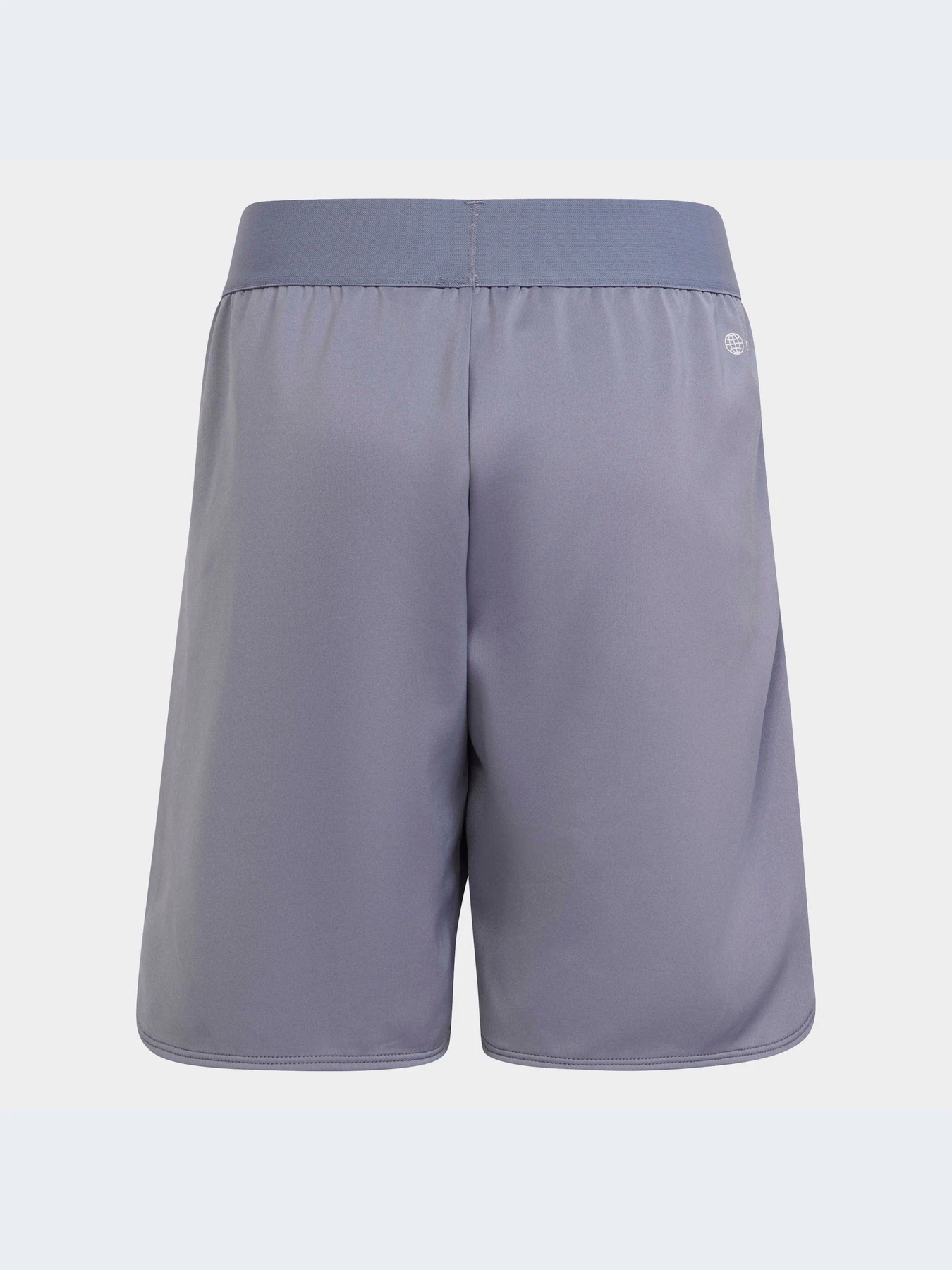 Шорты Adidas модель IC5398 Фото
