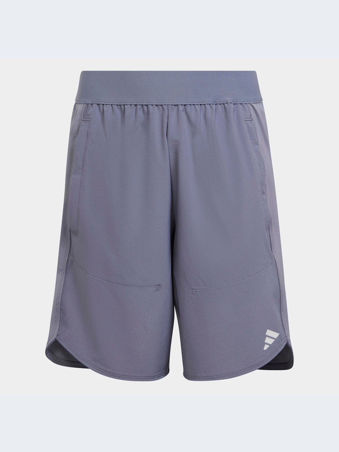 Шорты Adidas модель IC5398 Фото