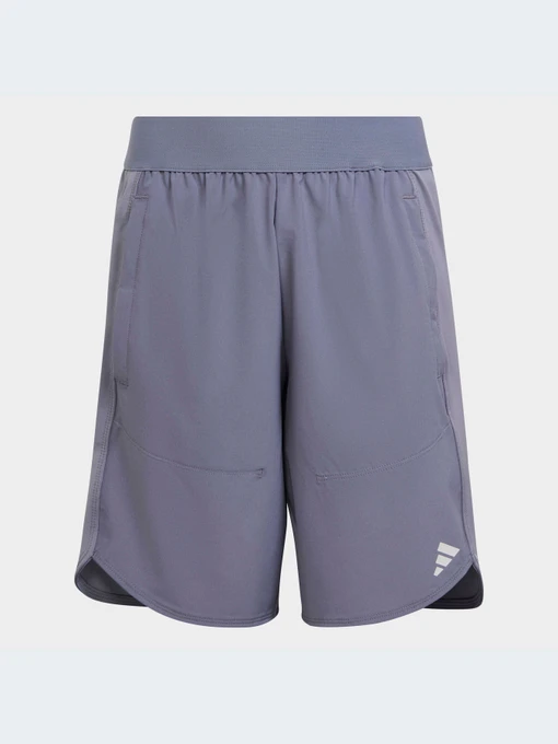 Шорты Adidas модель IC5398 Фото
