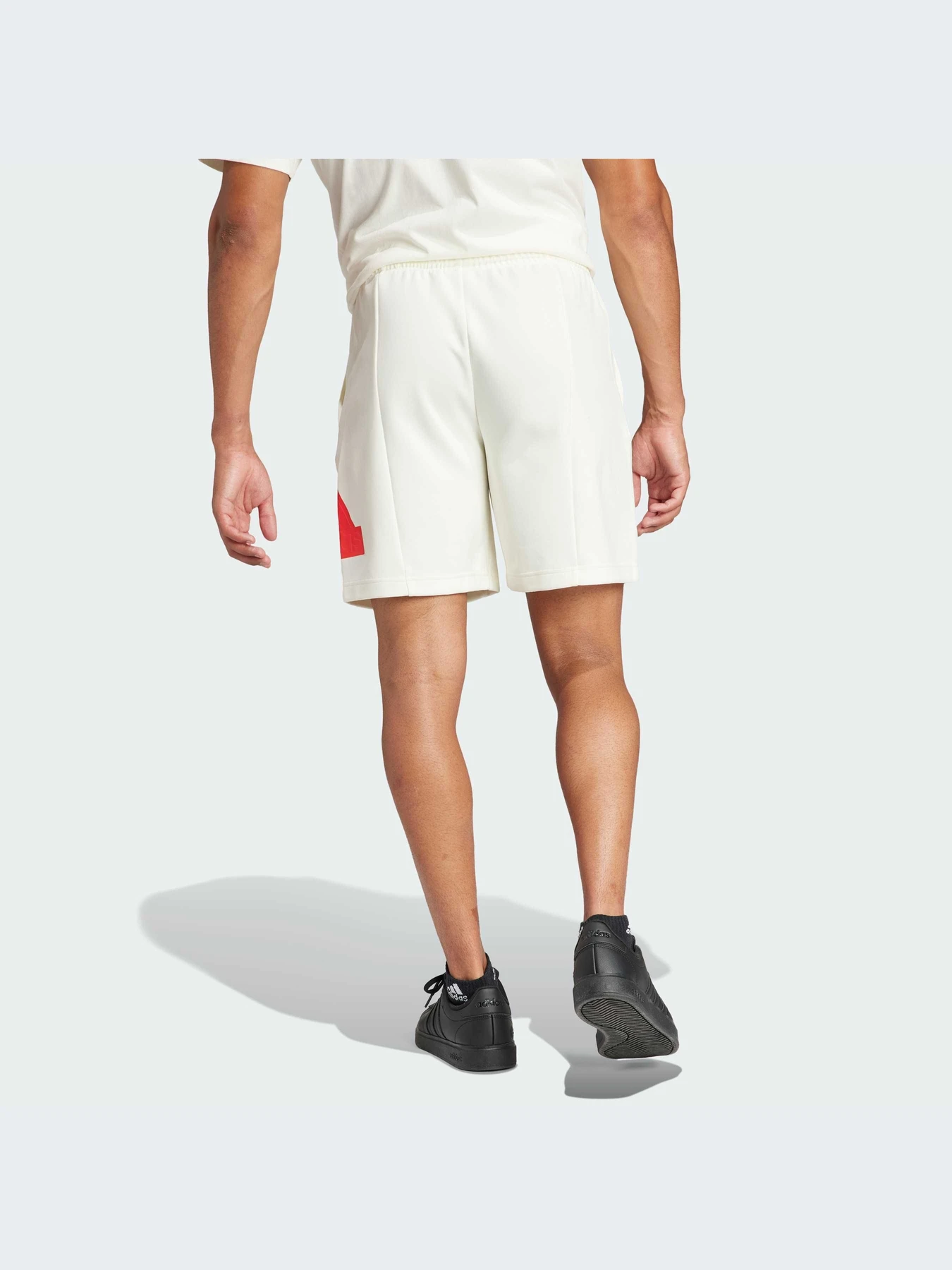 Шорты Adidas Культовые силуэты модель IR9167 Шорты Adidas Культовые силуэты модель IR9167 Фото