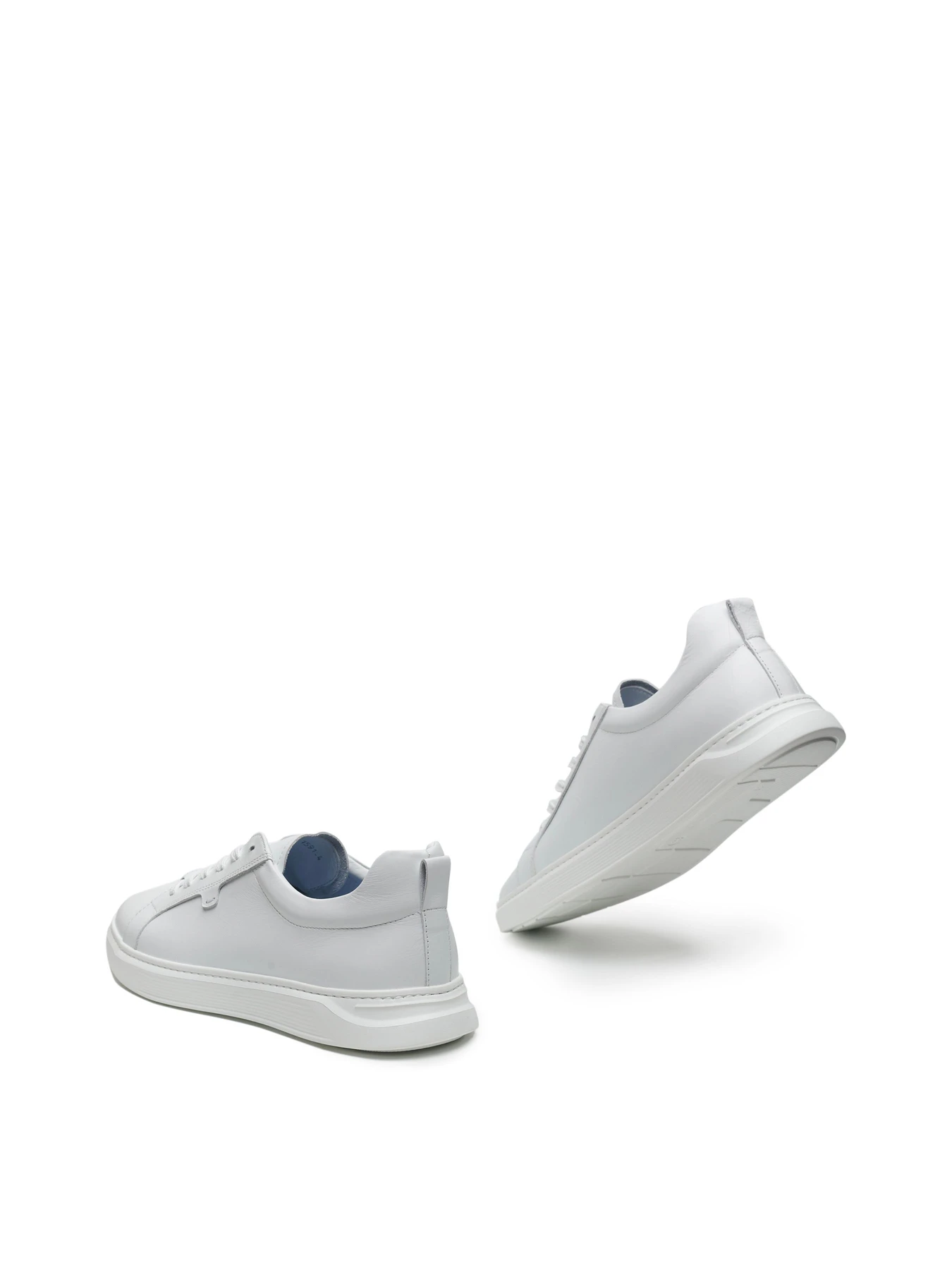 Кеди Alex Bell модель 1171569 Кеди Alex Bell модель 1171569 Фото