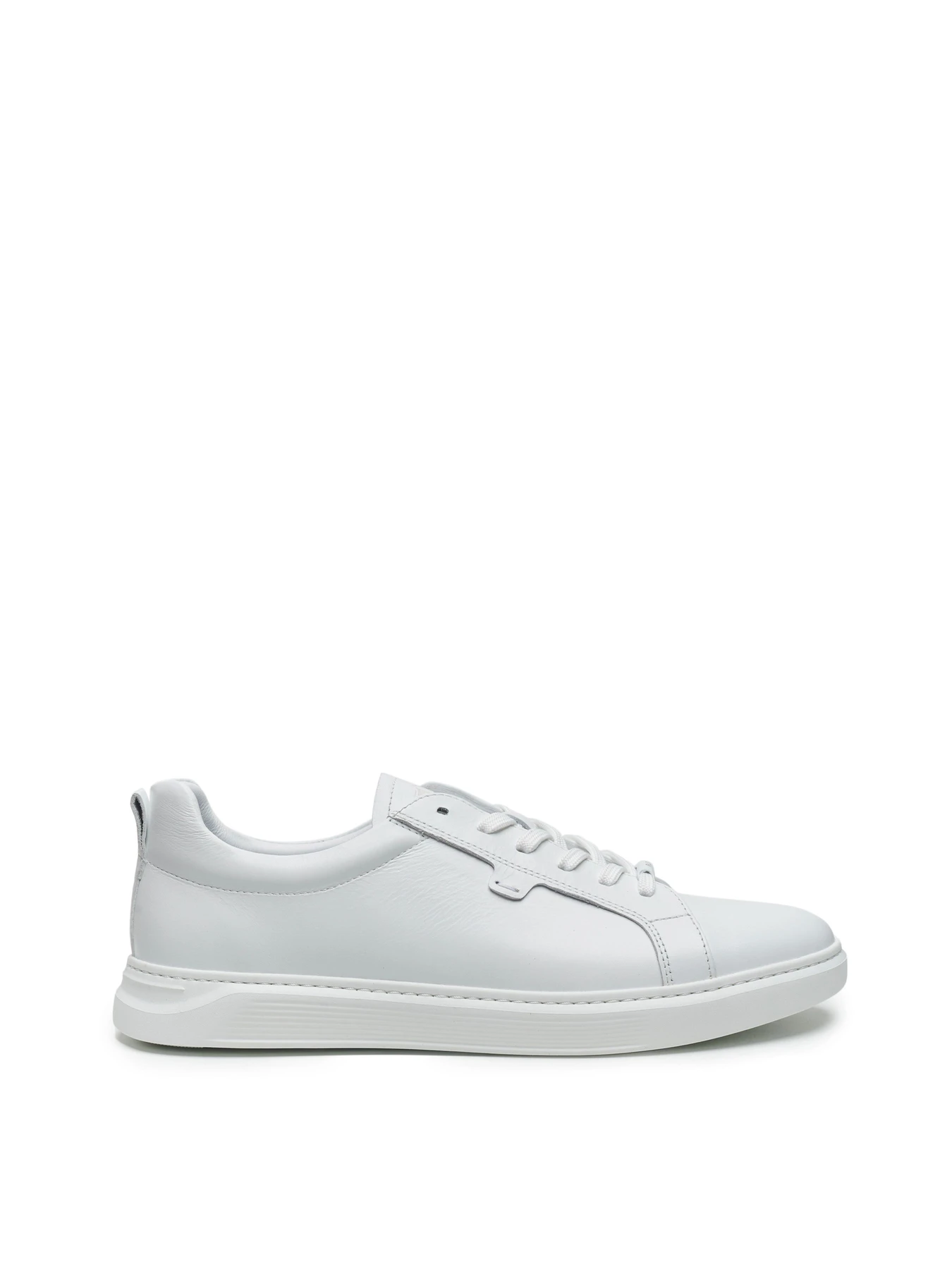 Кеди Alex Bell модель 1171569 Кеди Alex Bell модель 1171569 Фото