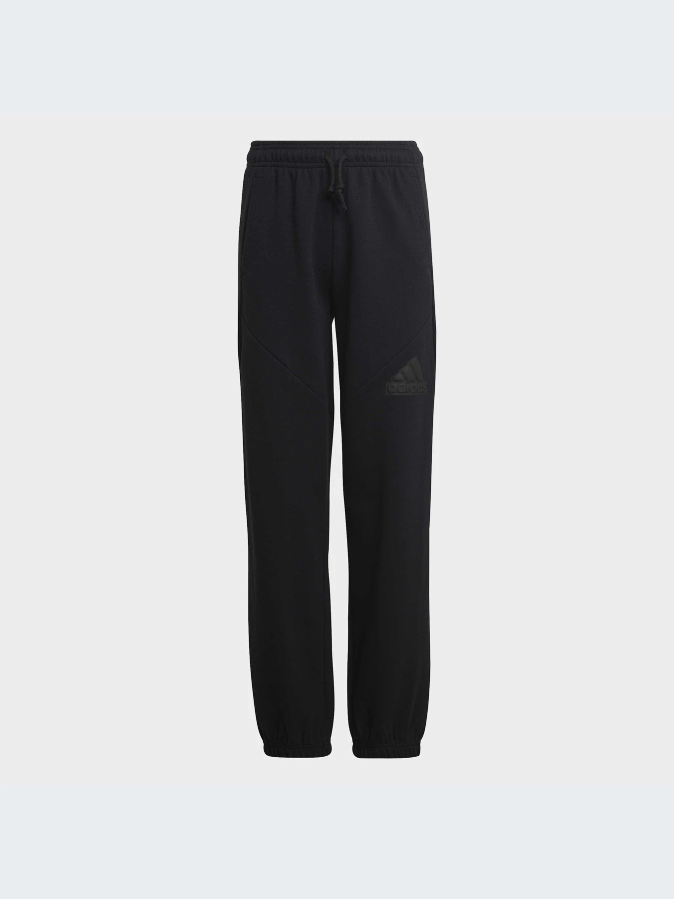 Брюки Adidas модель HR6286 Фото