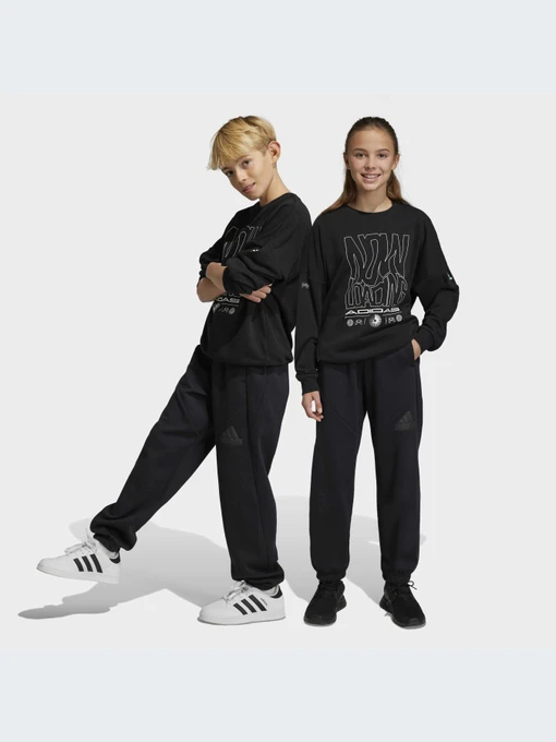 Брюки Adidas модель HR6286 Фото