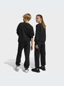 Брюки Adidas модель HR6286 Фото