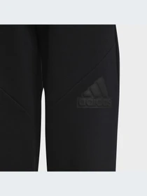 Брюки Adidas модель HR6286 Фото