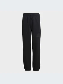Брюки Adidas модель HR6286 Фото