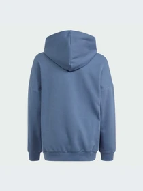 Худи и свитшоты Adidas модель IR8306 Фото