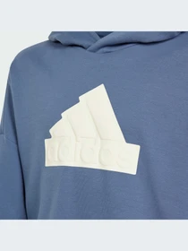 Худи и свитшоты Adidas модель IR8306 Фото
