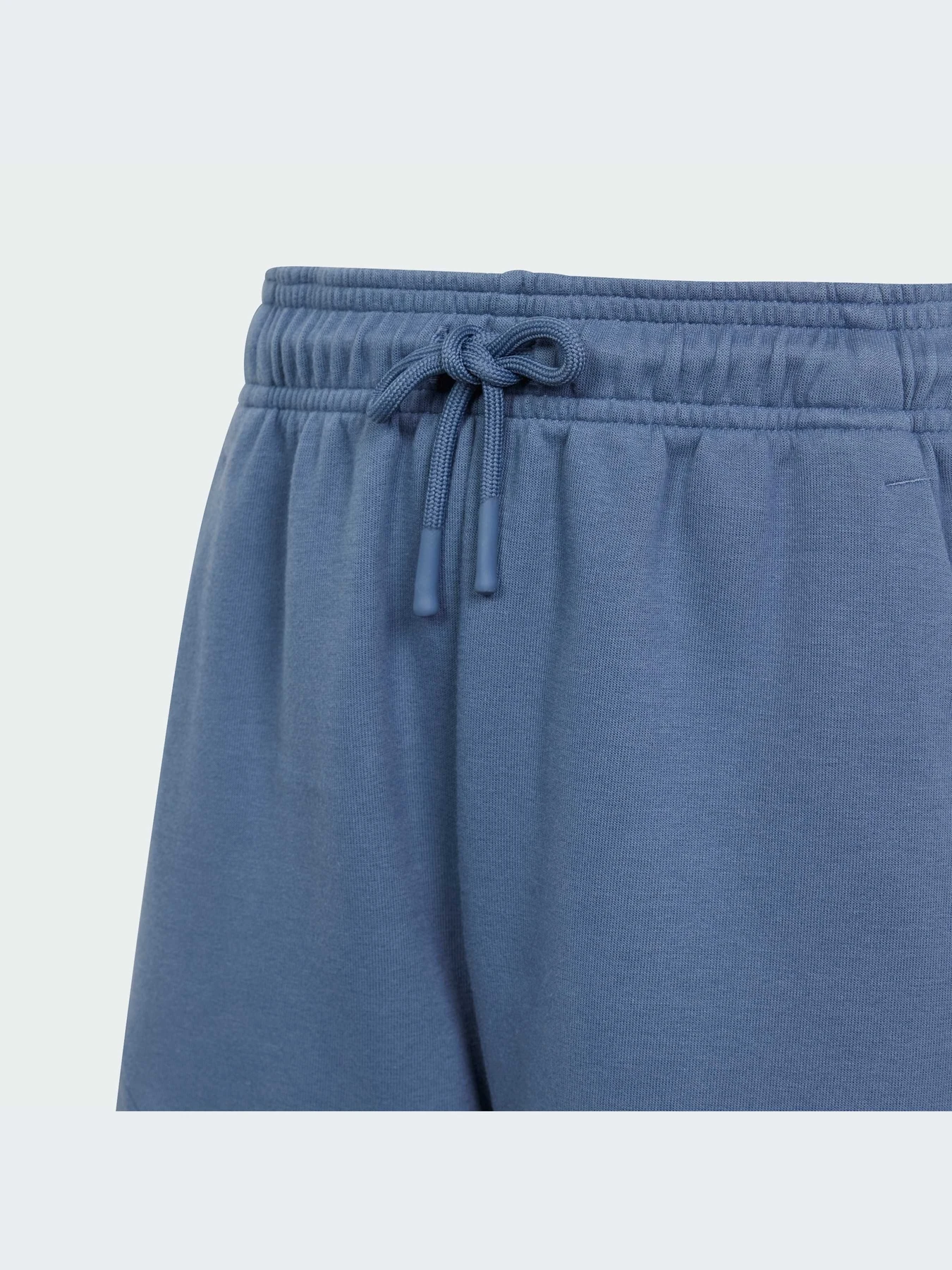 Шорти Adidas модель IS4418 Фото