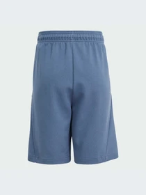 Шорти Adidas модель IS4418 Фото