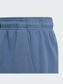 Шорти Adidas модель IS4418 Фото