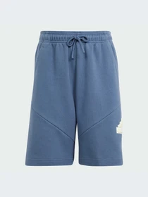 Шорты Adidas модель IS4418 Фото