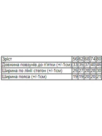 Одяг для немовлят Носи своє модель 5034-024-4-kosmo-dno Фото