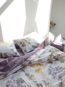 Комплект постельного белья BedclozZzes модель 7674 Фото