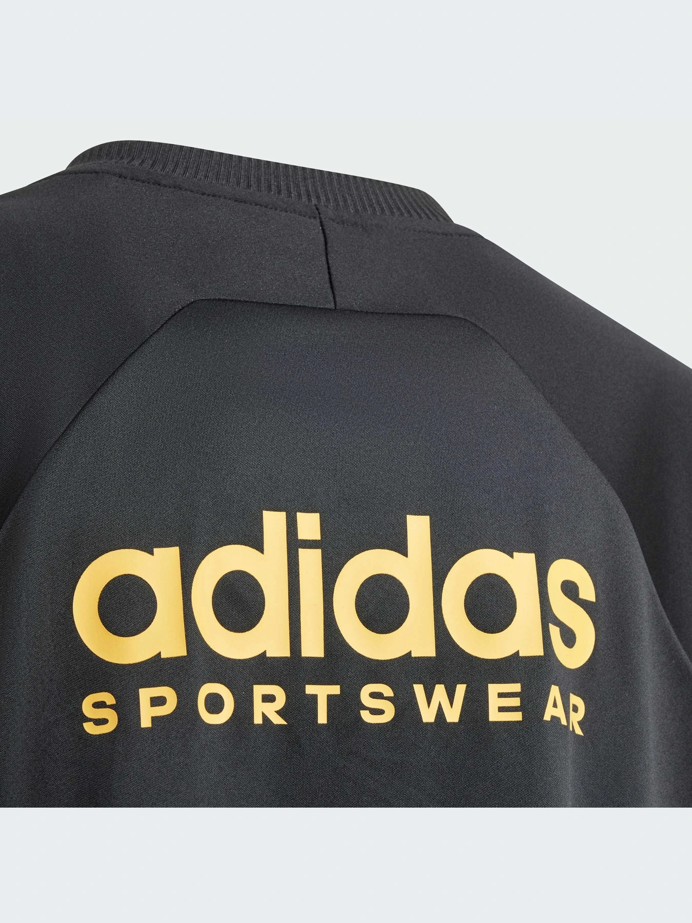 Футболки и поло Adidas Tiro модель IN1886 Фото