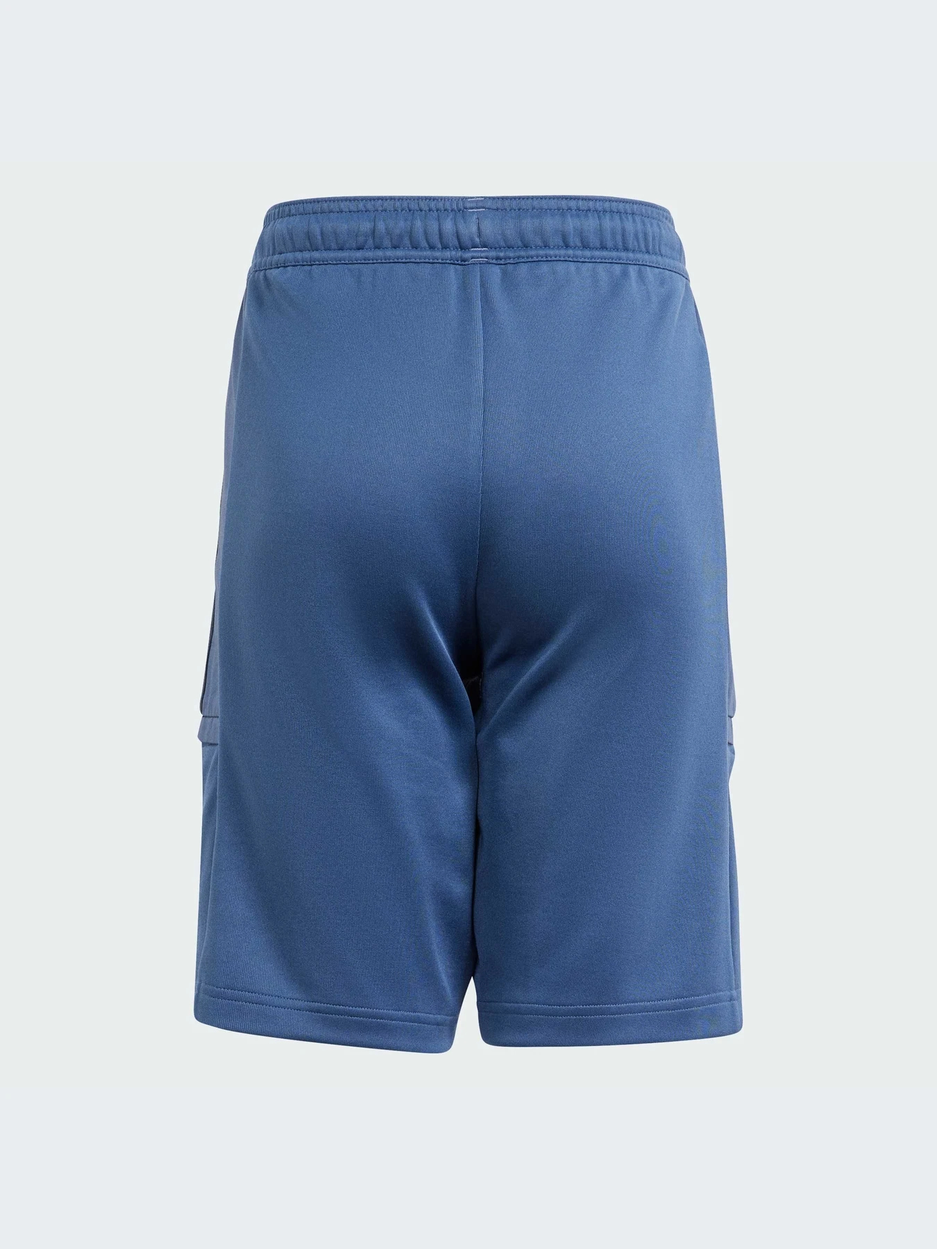 Шорты Adidas Tiro модель IS4602 Фото
