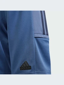 Шорты Adidas Tiro модель IS4602 Фото