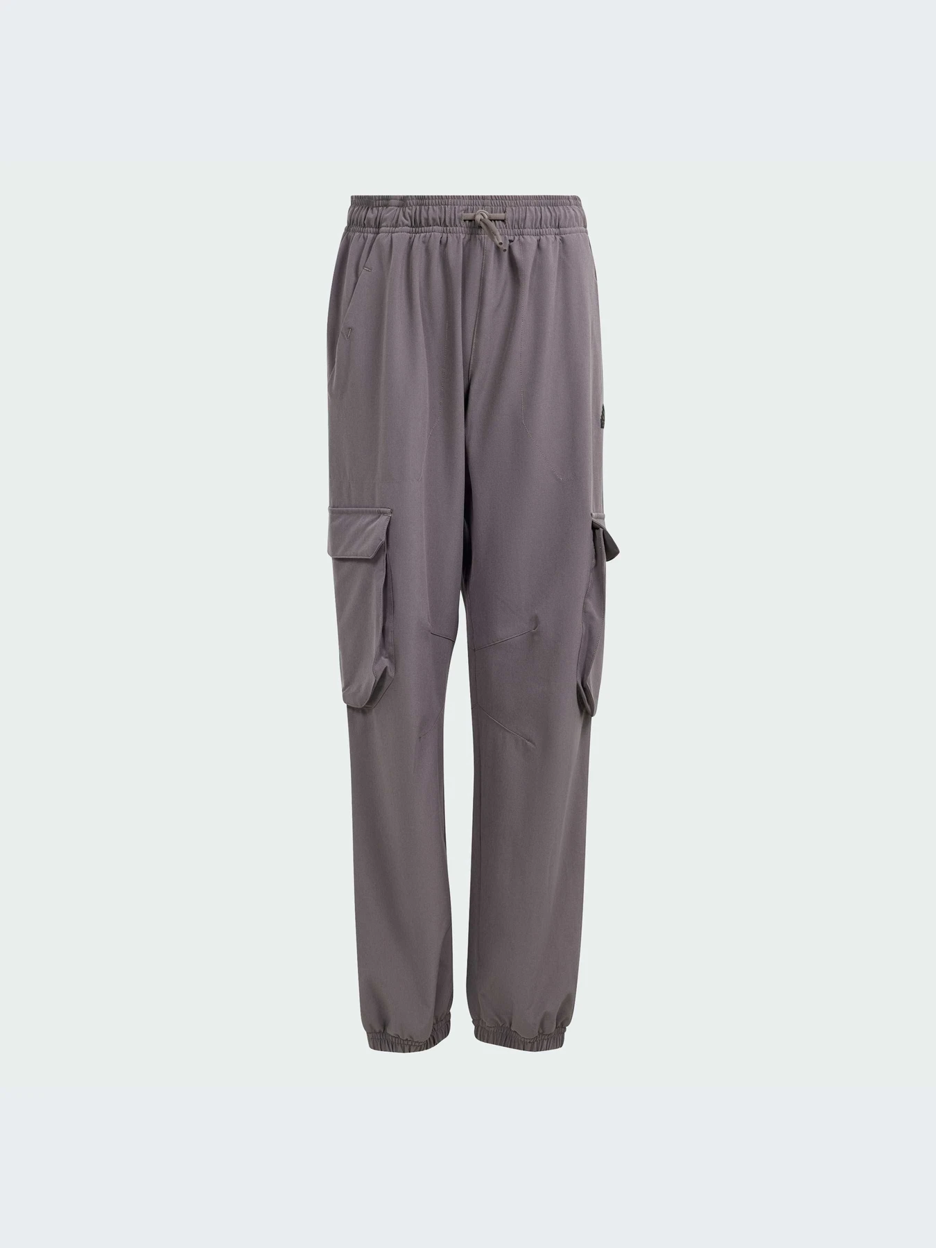 Брюки Adidas модель IS3390 Брюки Adidas модель IS3390 Фото