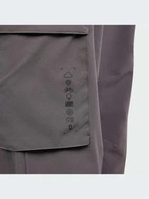 Брюки Adidas модель IS3390 Фото