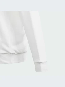 Худи и свитшоты Adidas модель IU3044 Фото
