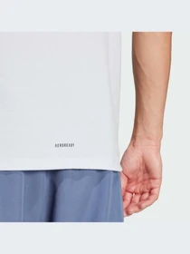 Футболки и поло Adidas Clima модель IS3829 Фото