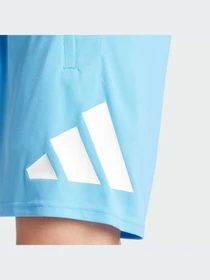 Шорти Adidas модель IT5421 Фото