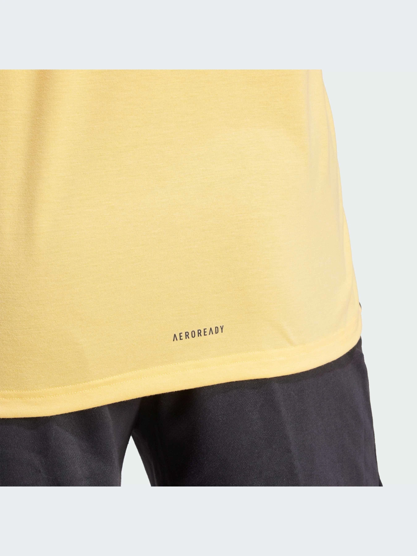 Футболки и поло Adidas Clima модель IS3818 Футболки и поло Adidas Clima модель IS3818 Фото