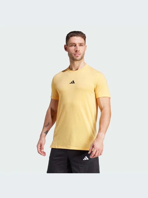 Футболки и поло Adidas Clima модель IS3818 Фото