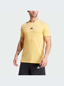 Футболки и поло Adidas Clima модель IS3818 Фото