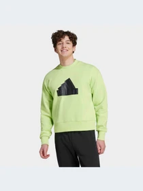 Худи и свитшоты Adidas модель IJ6403 Фото