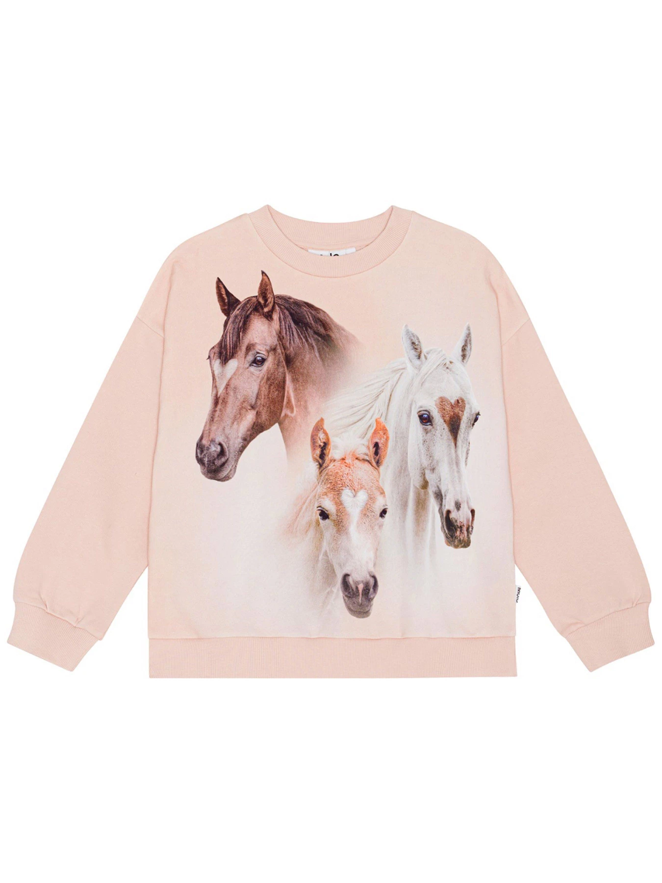 Худі та світшоти Molo модель 2S24J206.3511 Фото