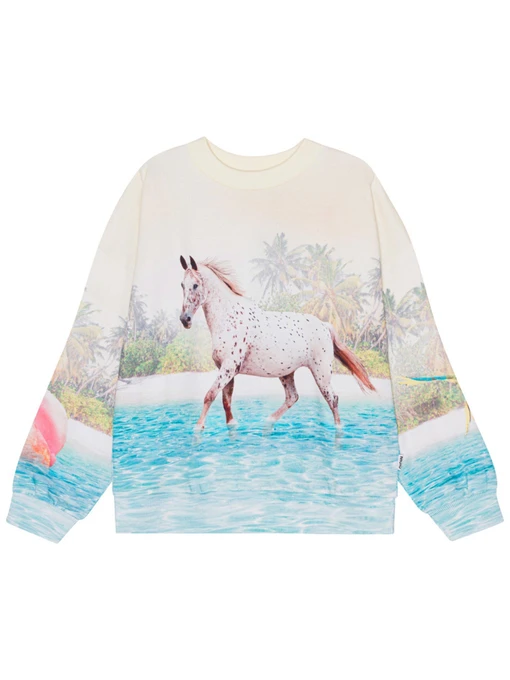 Худі та світшоти Molo модель 2S24J215.3549 Фото