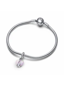 Классические PANDORA модель 793202C01 Фото