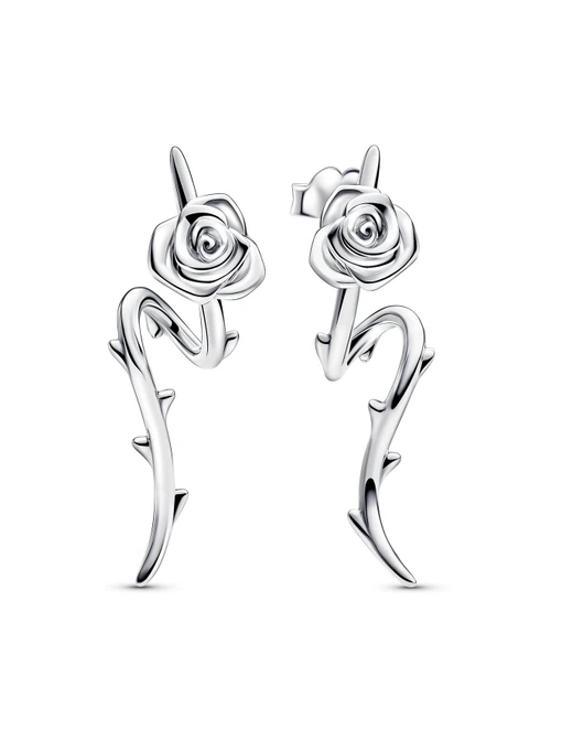 Підвіси PANDORA модель 293214C00 Фото