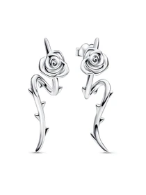 Підвіси PANDORA модель 293214C00 Фото