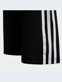 Брюки Adidas Adicolor модель HK0347 Фото