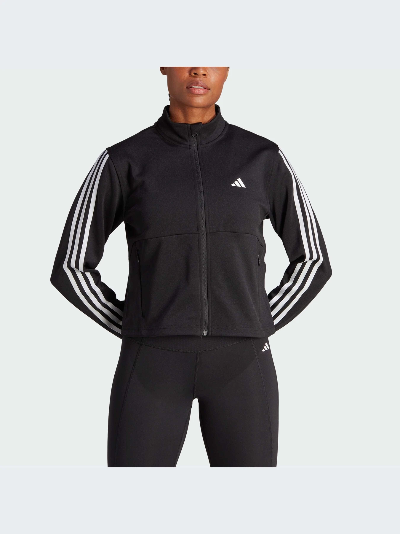 Худи и свитшоты Adidas 3 Stripes модель HZ5615 Худи и свитшоты Adidas 3 Stripes модель HZ5615 Фото