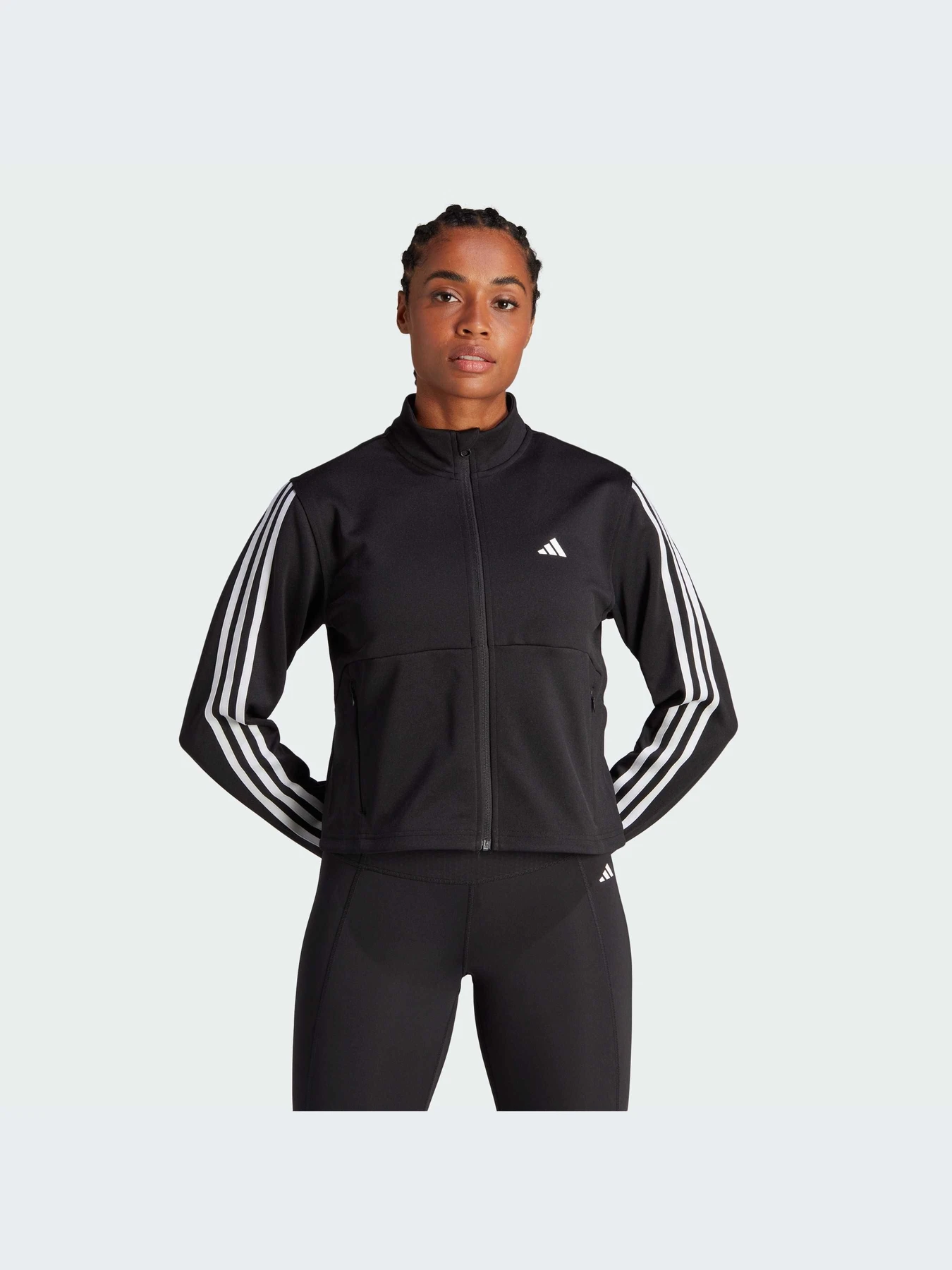 Худи и свитшоты Adidas 3 Stripes модель HZ5615 Худи и свитшоты Adidas 3 Stripes модель HZ5615 Фото