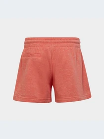 Шорты Adidas Культовые силуэты модель IC0104 Фото