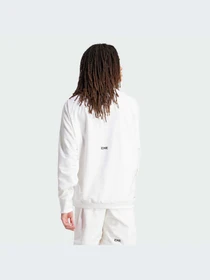 Худи и свитшоты Adidas ZNE модель IQ4793 Фото