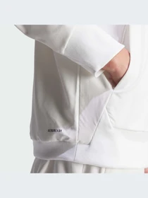 Худи и свитшоты Adidas ZNE модель IQ4793 Фото