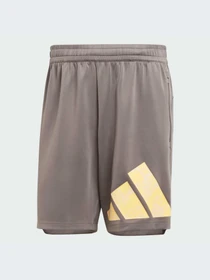 Шорты Adidas модель IS3798 Фото