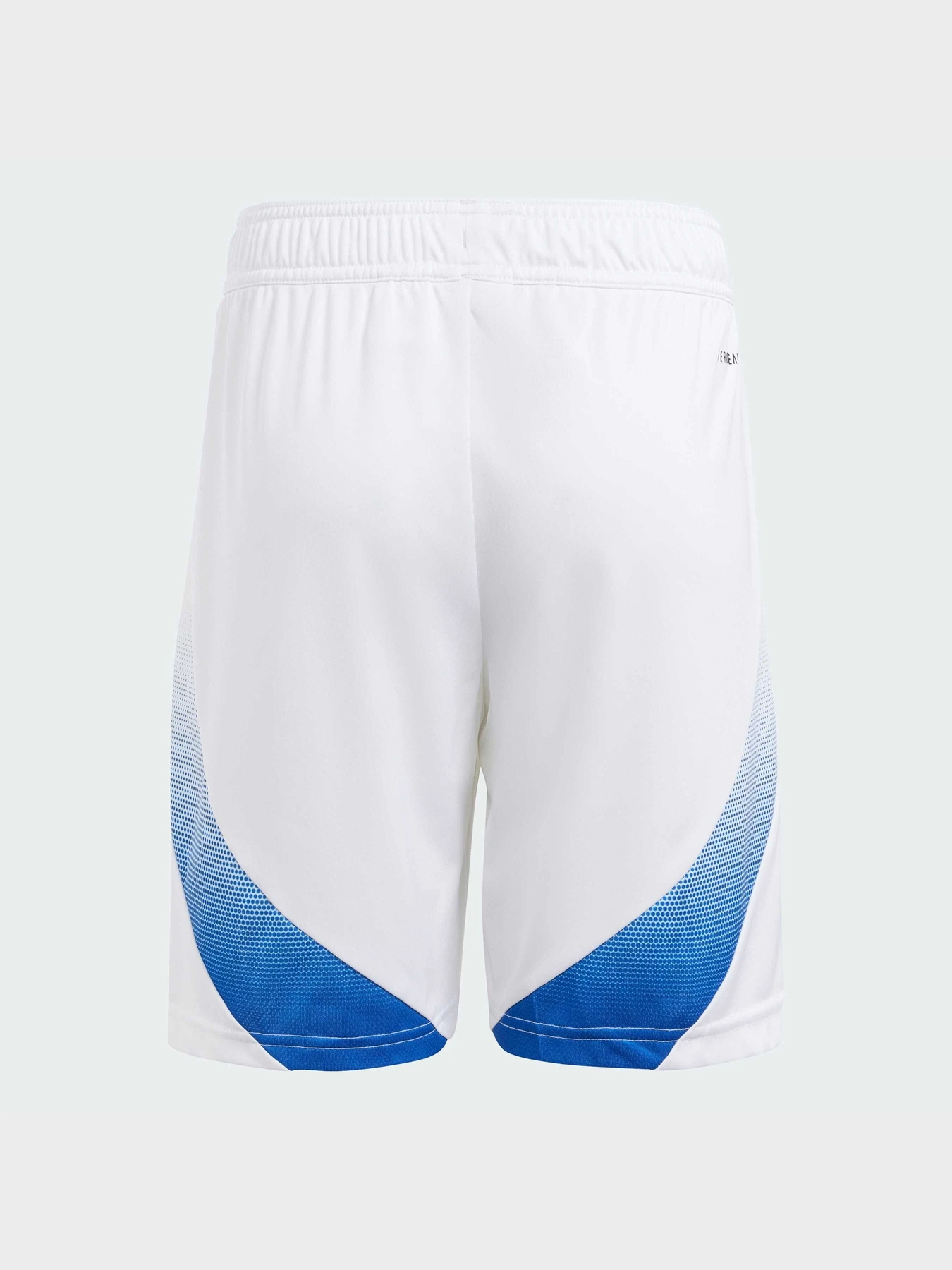Шорты Adidas модель IS7276 Фото
