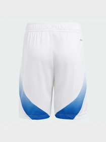 Шорты Adidas модель IS7276 Фото