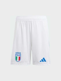 Шорты Adidas модель IS7276 Фото
